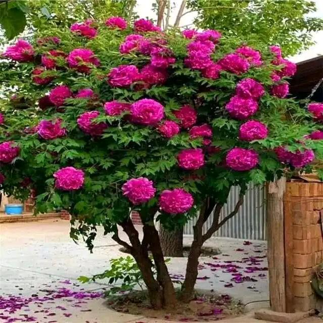 润泽