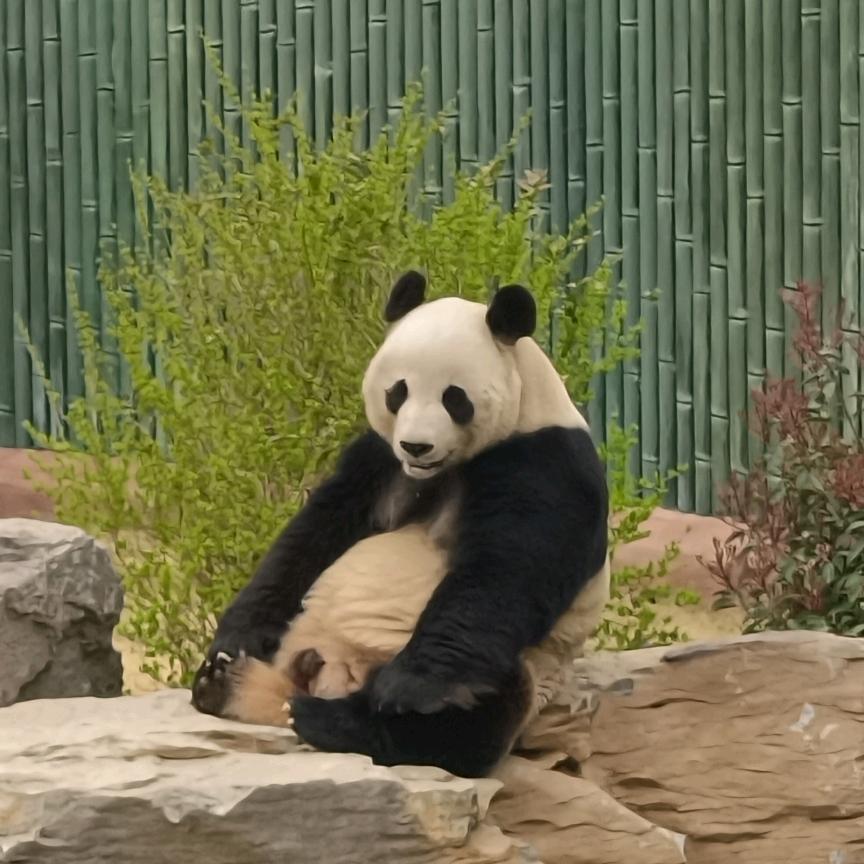 严选
