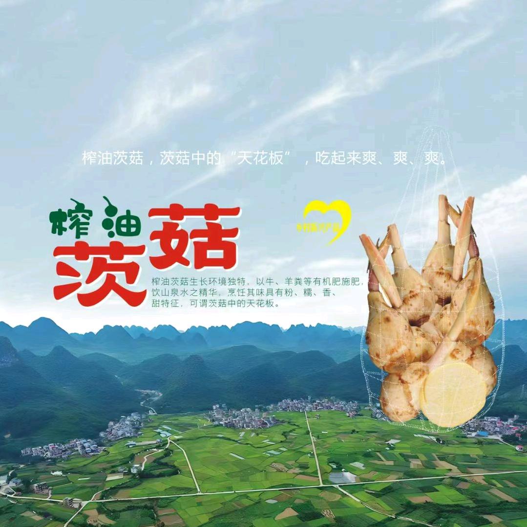 种茨菇的80后村姑