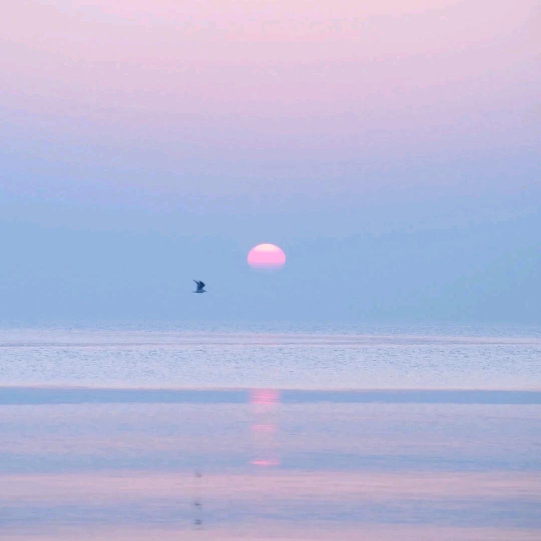 随风
