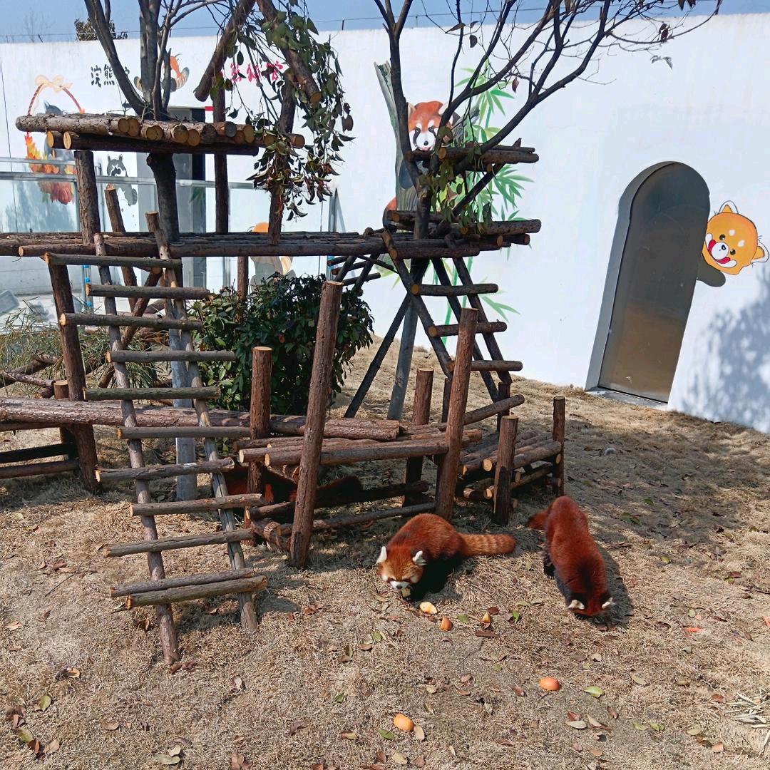 🍓爱财爱己🍓