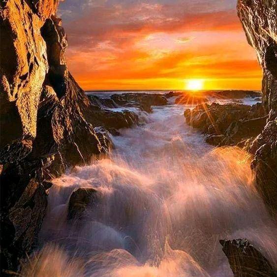 似墨青丝一朝白