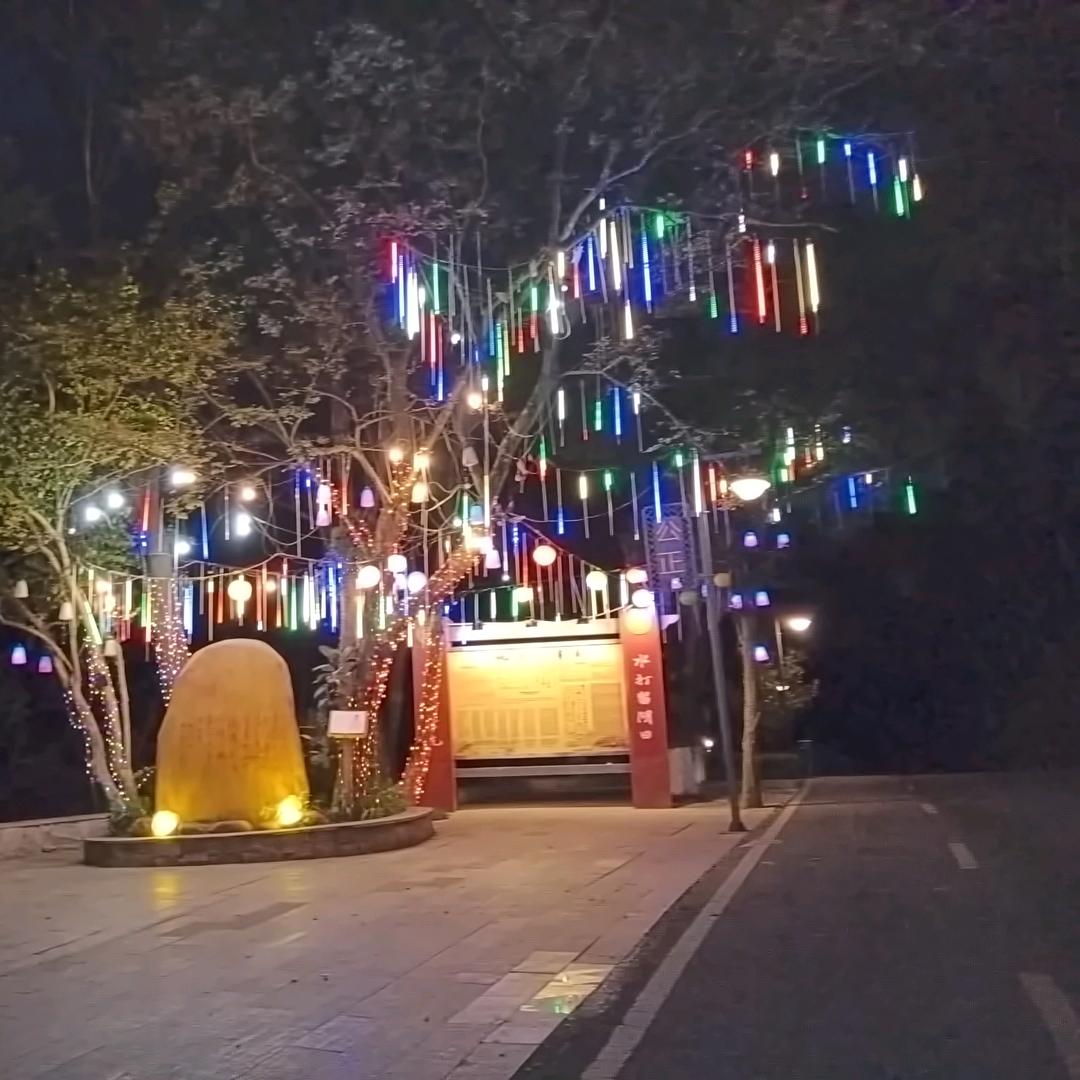 国内人