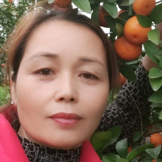 飘零的心