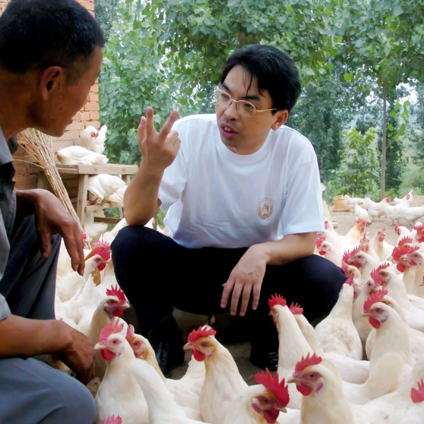 牧泰畜牧经营部