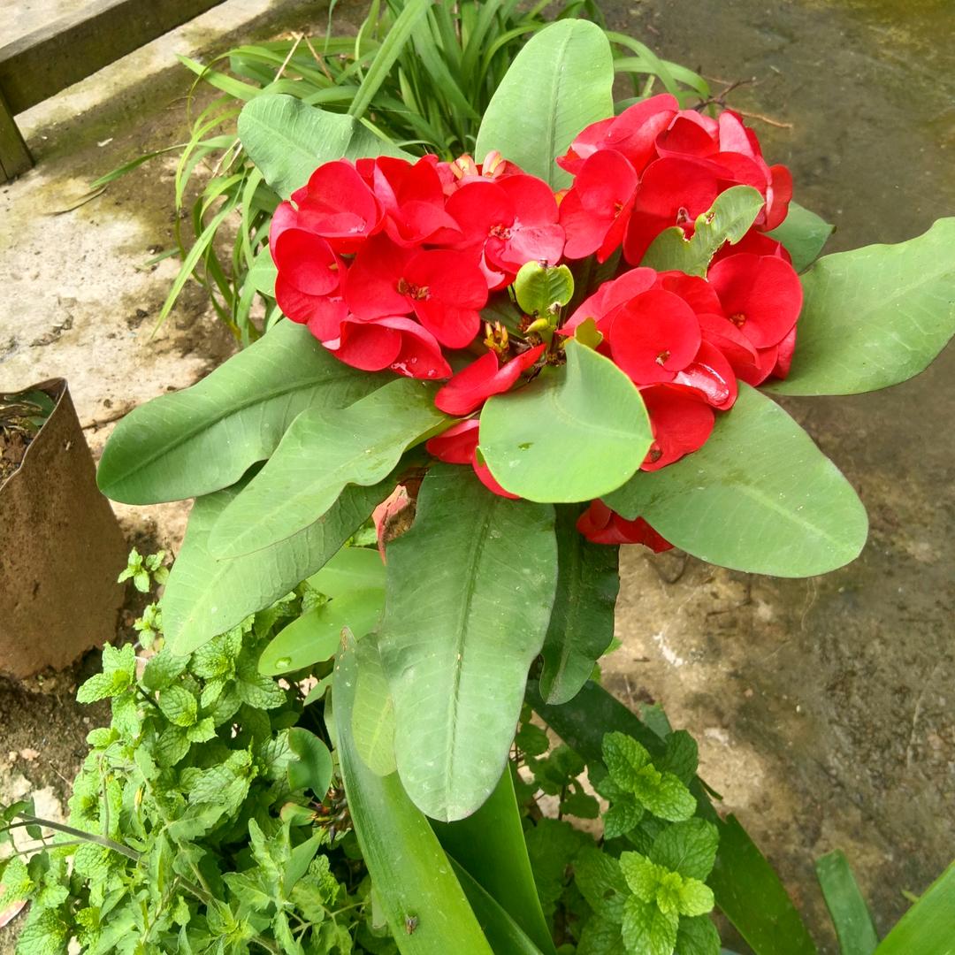 我是疯人谢谢关注