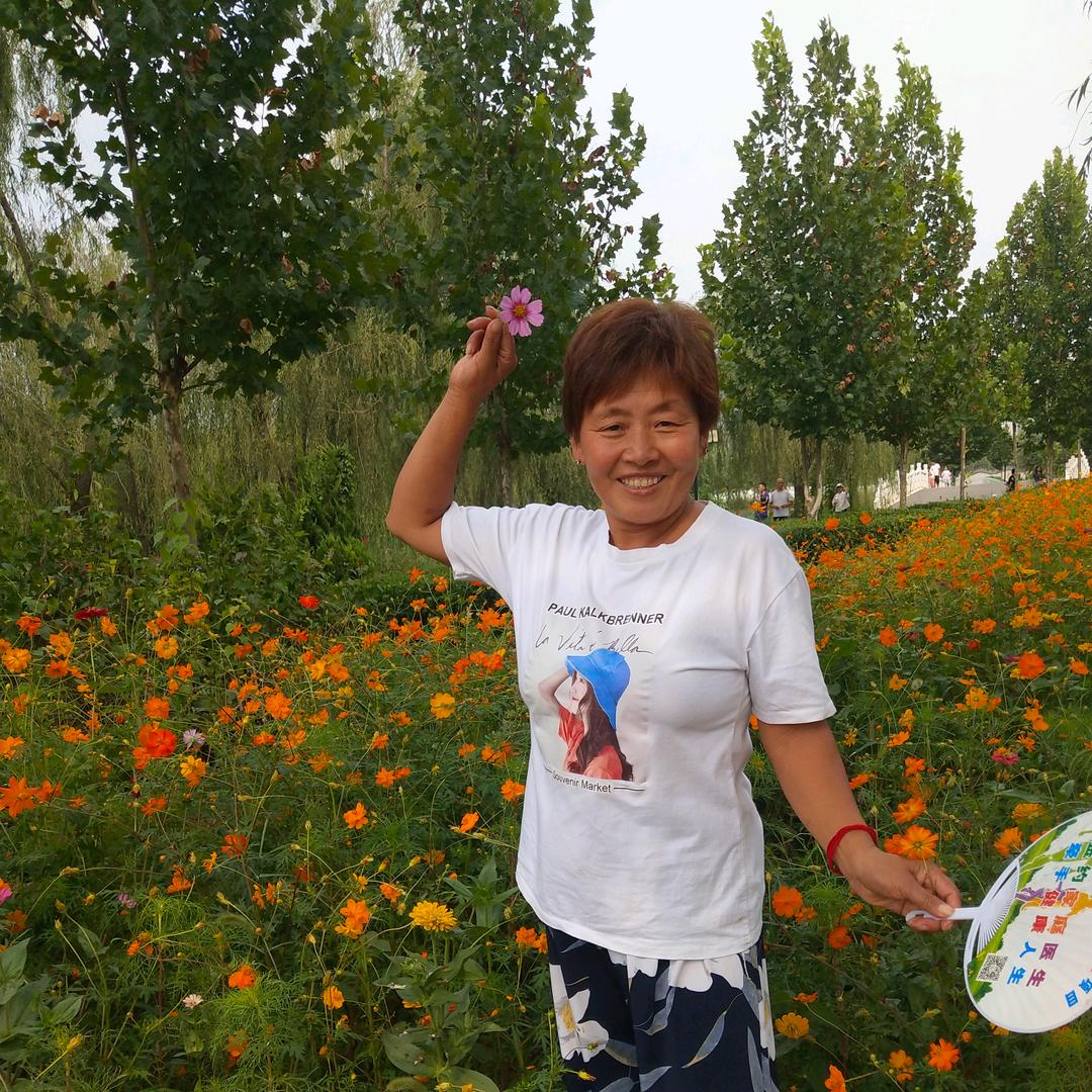 阳光明媚的一天