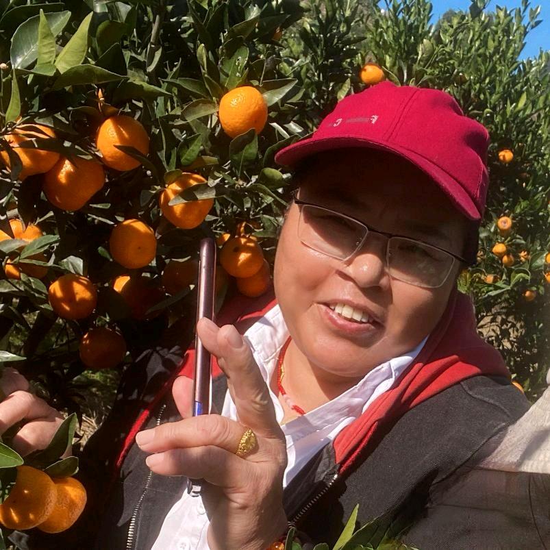 張何英每日一记