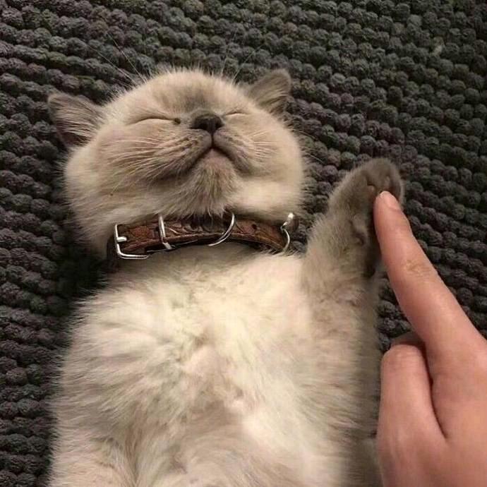 麻辣兔DIY（接单版）