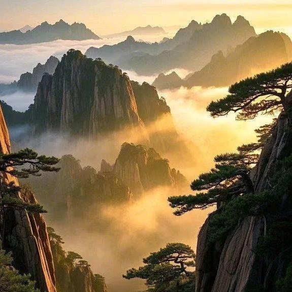 🌊ᦱᐝ破浪🌻⃟⸜前行ཀོ࿐