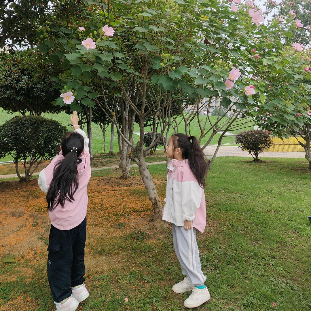 白开水哈密瓜🍈