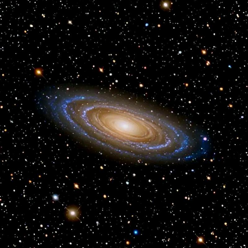 抖世界抖科学
