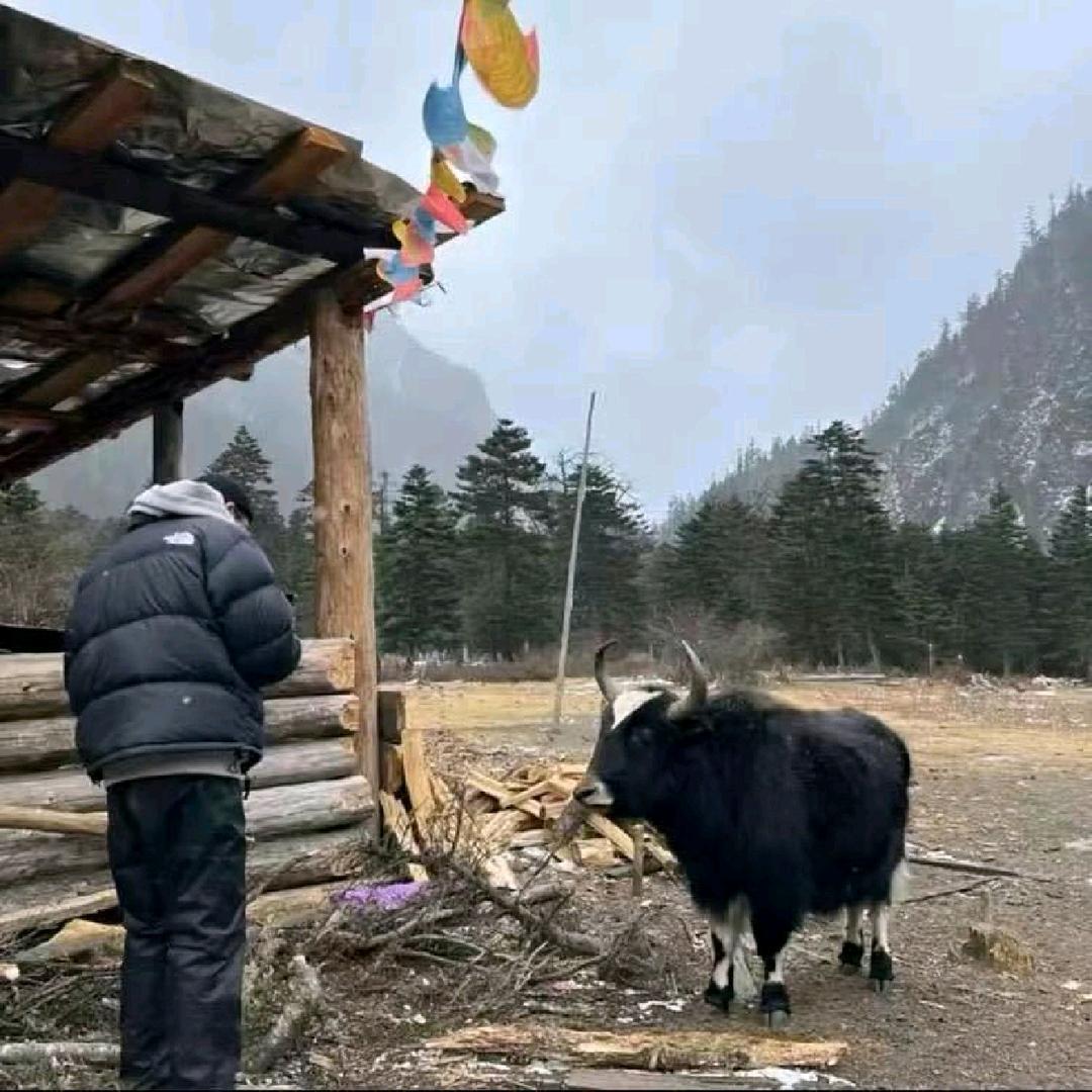 张.