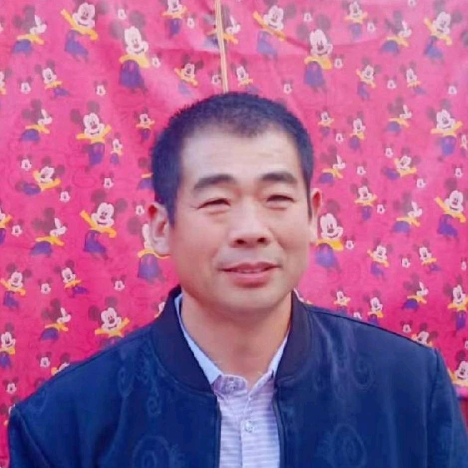 专业抹灰粉墙