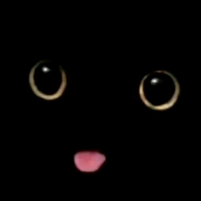 p粥q
