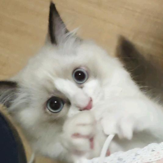 ？那很好了