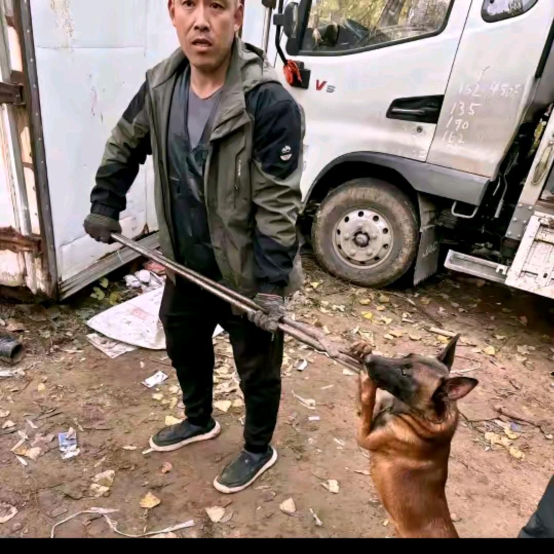 AAA本地套狗王师傅