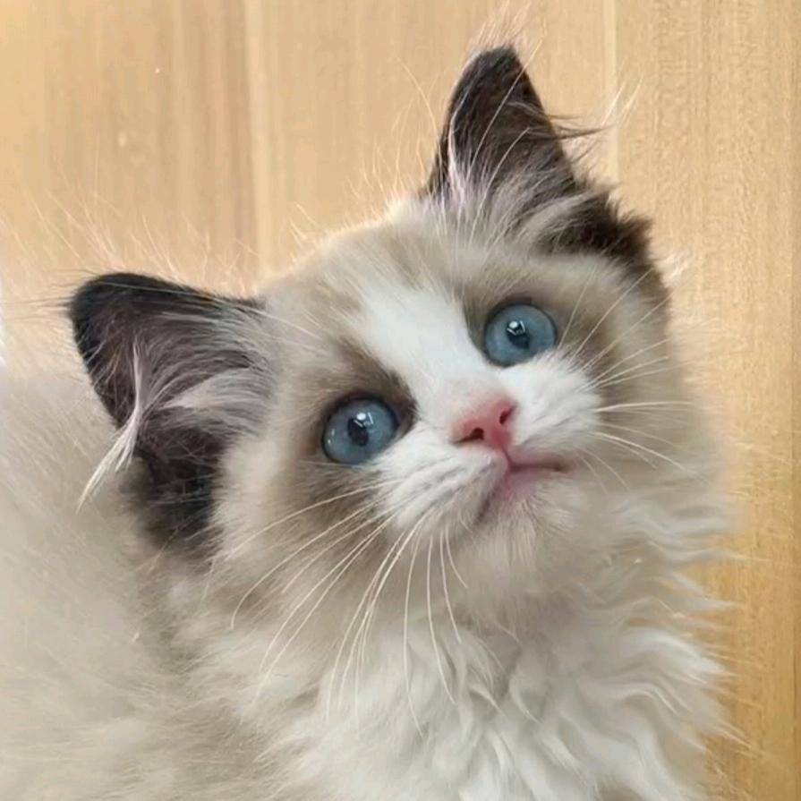 小宇
