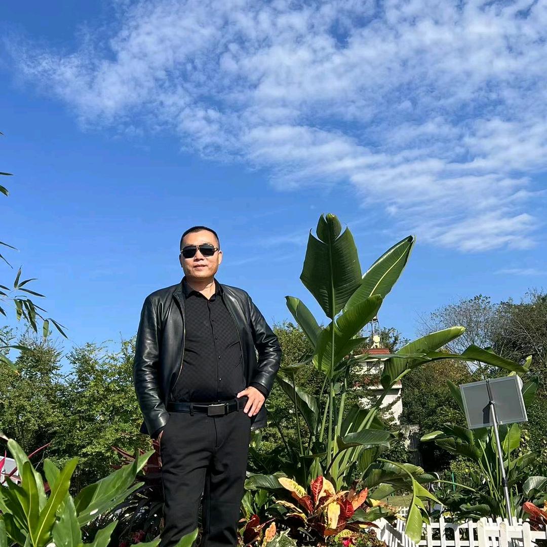 杨波
