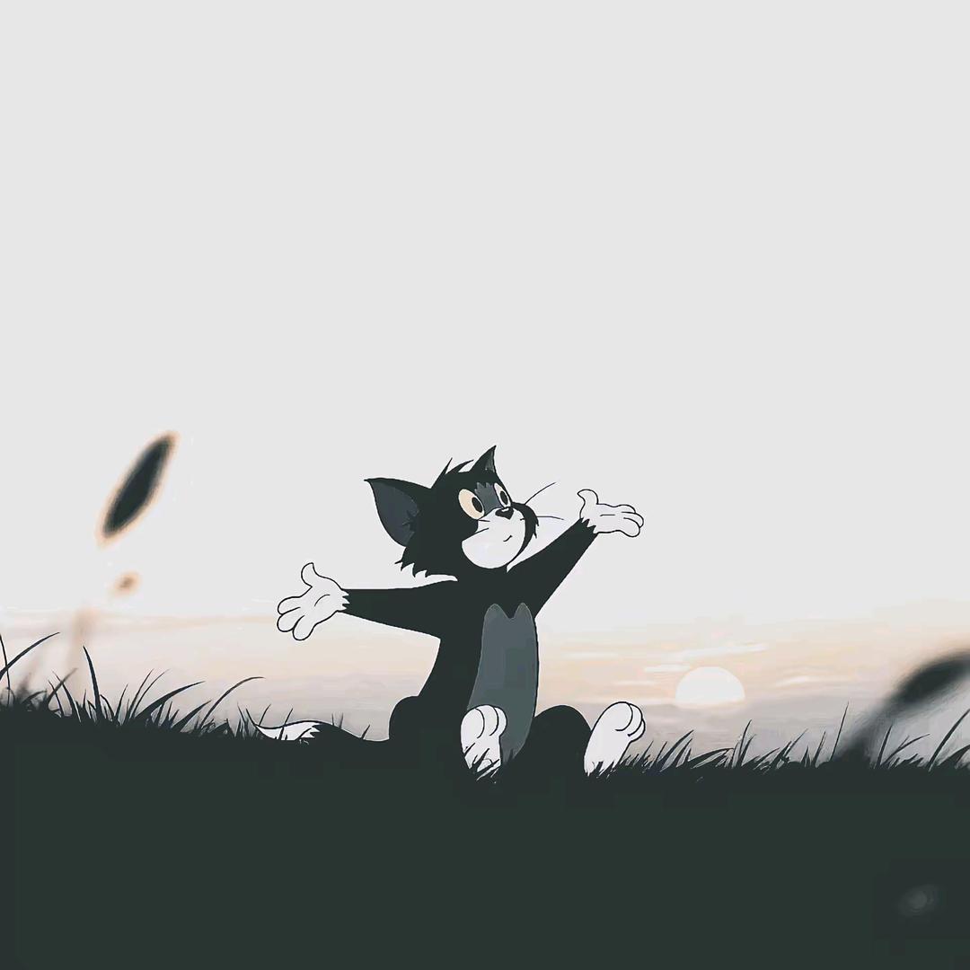 苏星宇