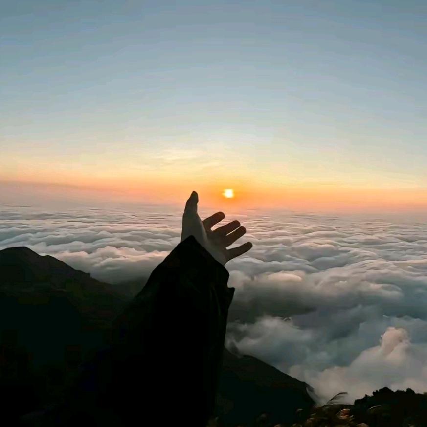 一条有梦想的咸鱼~ike