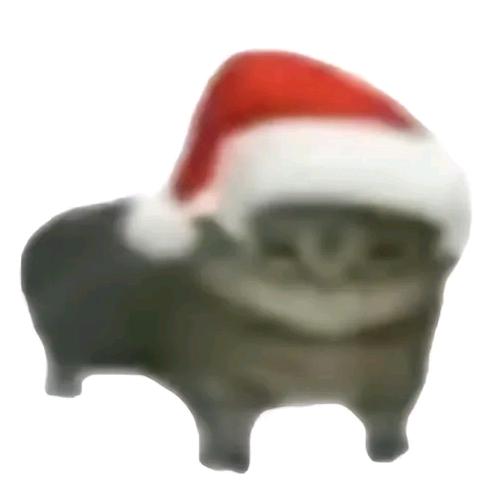 败背😎