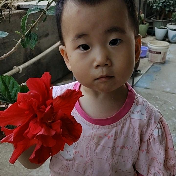 王豹装饰