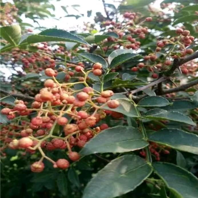 不发脾气只发财