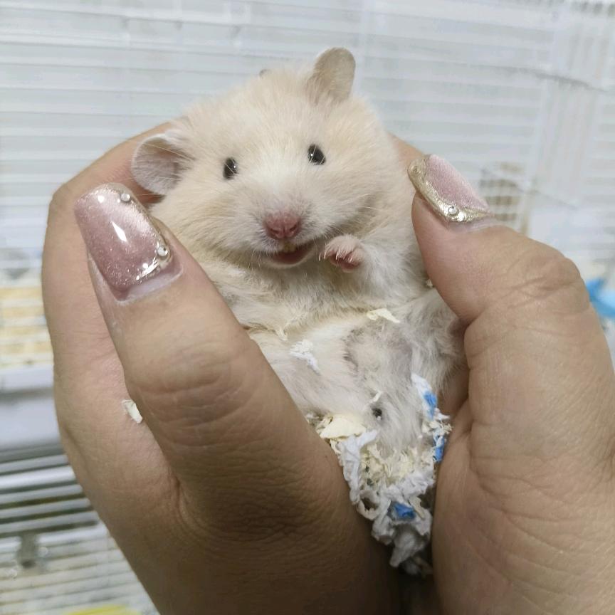 曙 泽 熊 舍 🤪