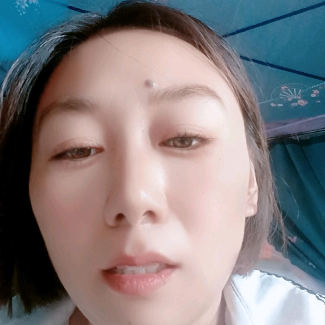 开封燕子