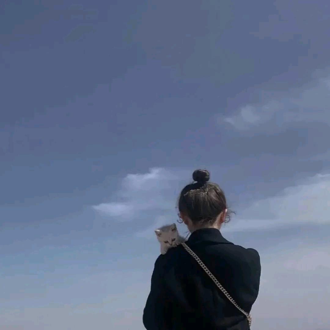 兮辞