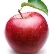 爱笑🤗的🍎姐姐💃