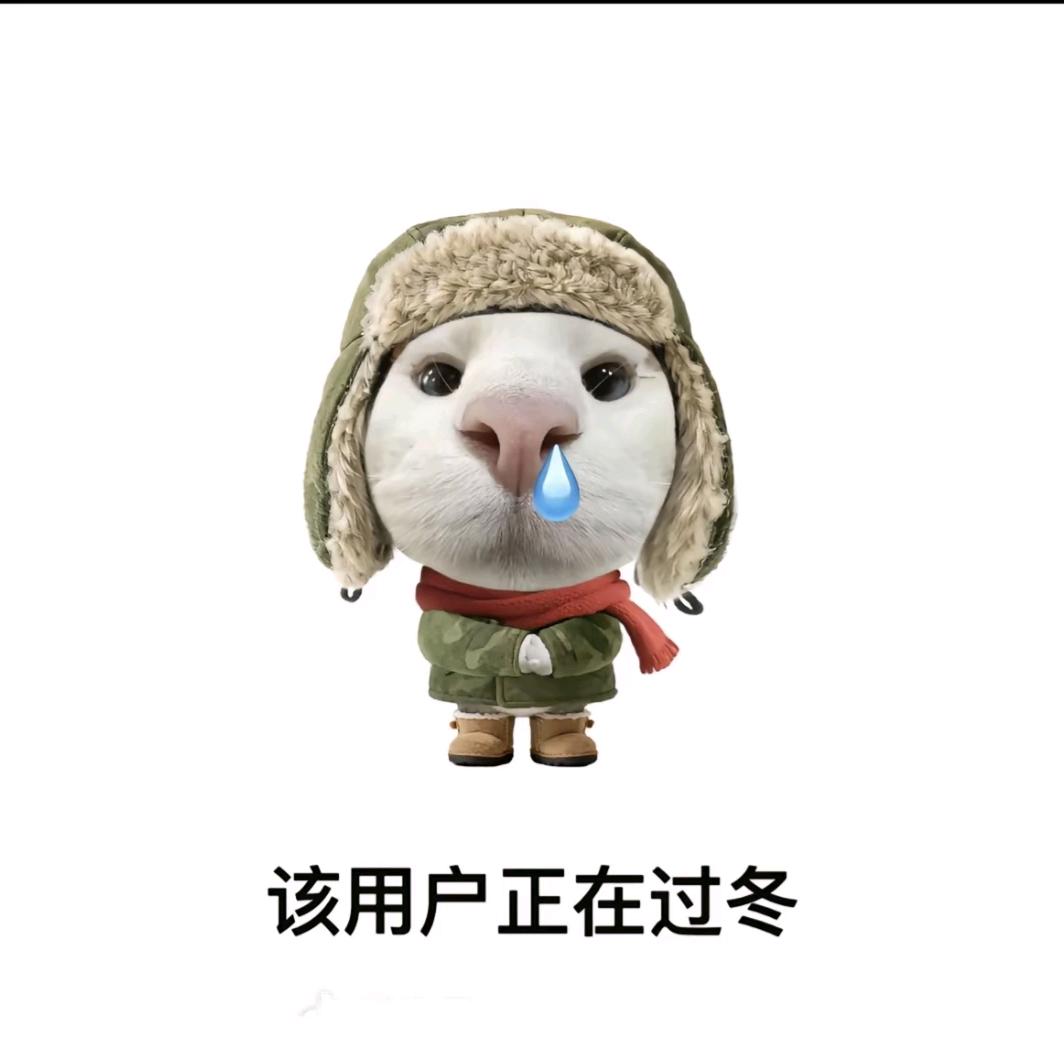 冰封的