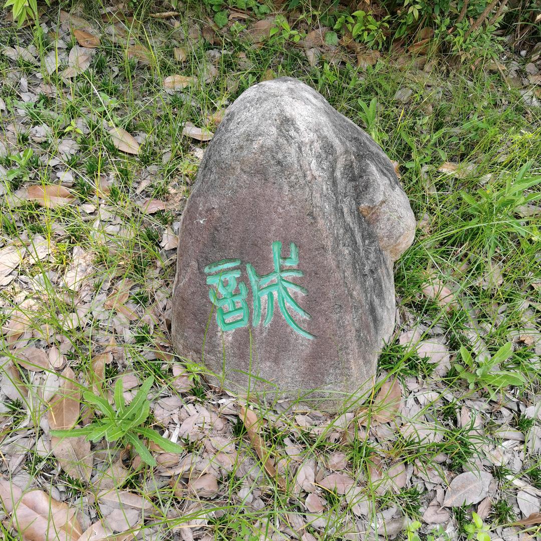 @初心-有氧健身（请勿连赞+关注）