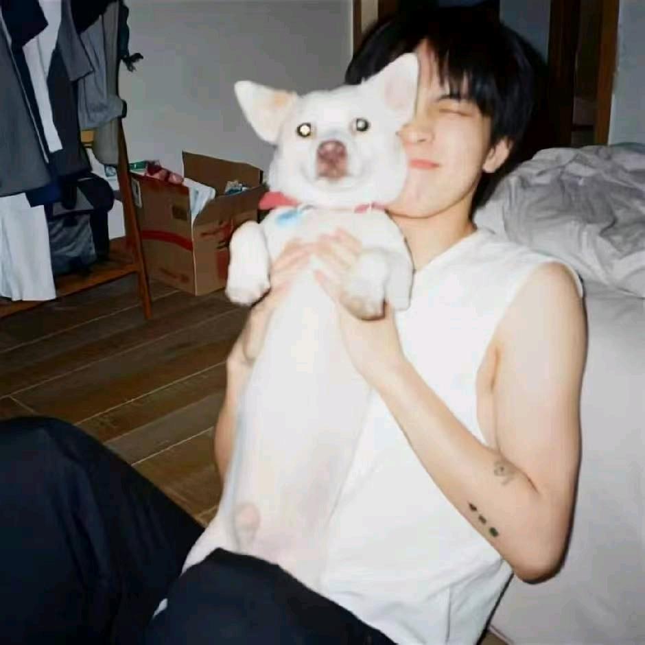 心中(暑假升级版)