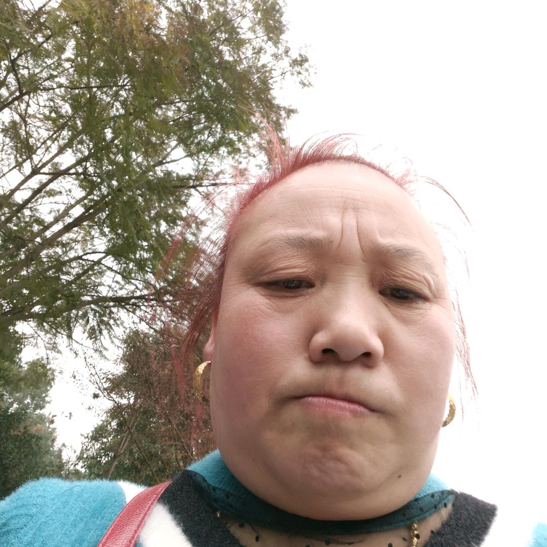 l。李泽琼