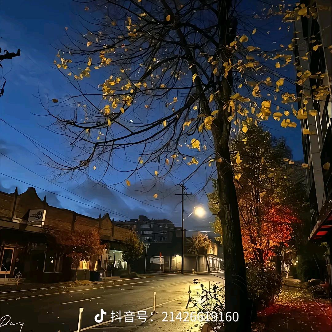 古板
