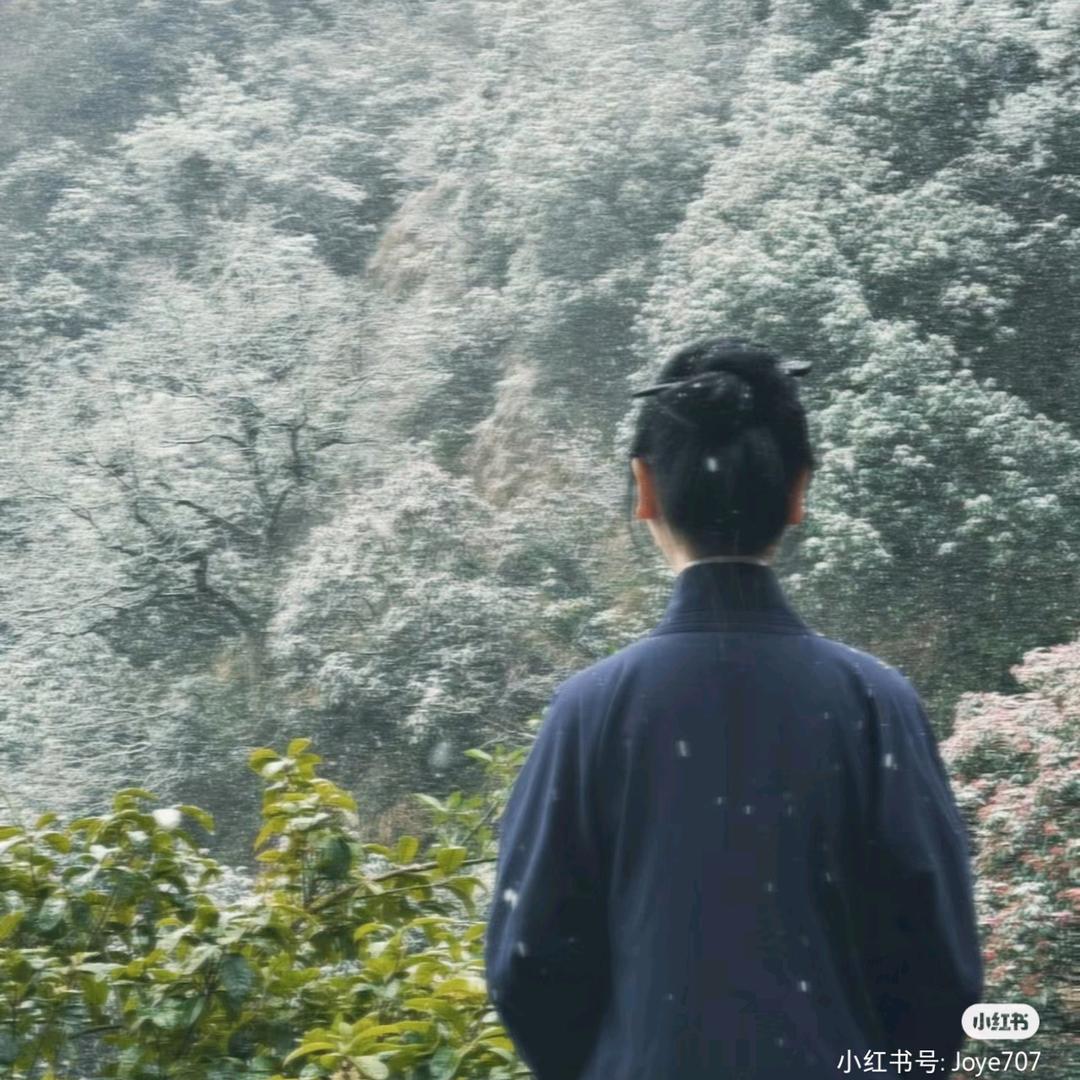 ❤️静心凝神❤️