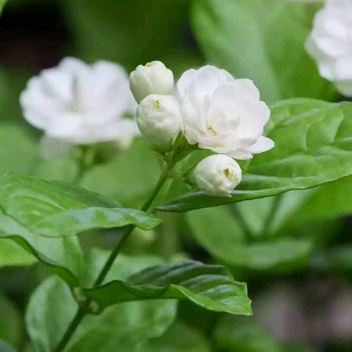 对自己好点