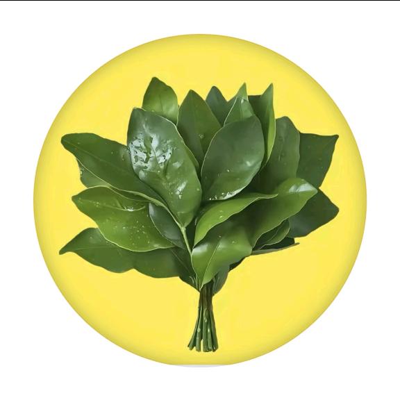 星儿🇨🇳