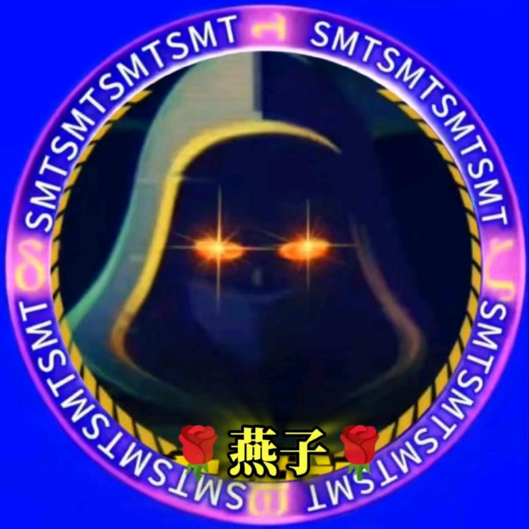 神秘总团🌹燕子🌹