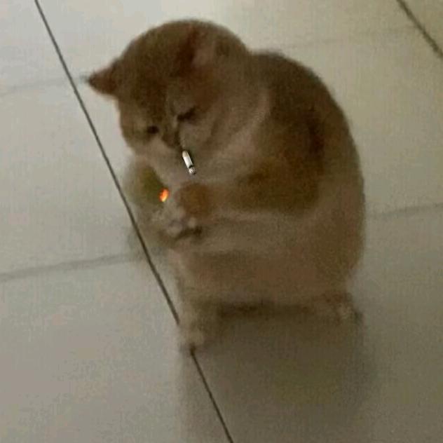 _ 九九