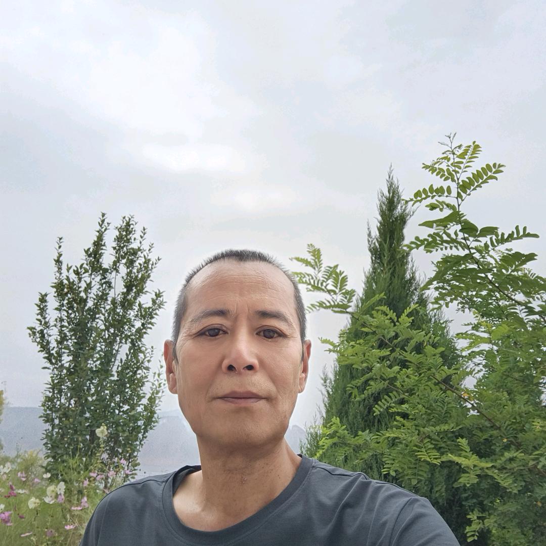 红豆杉