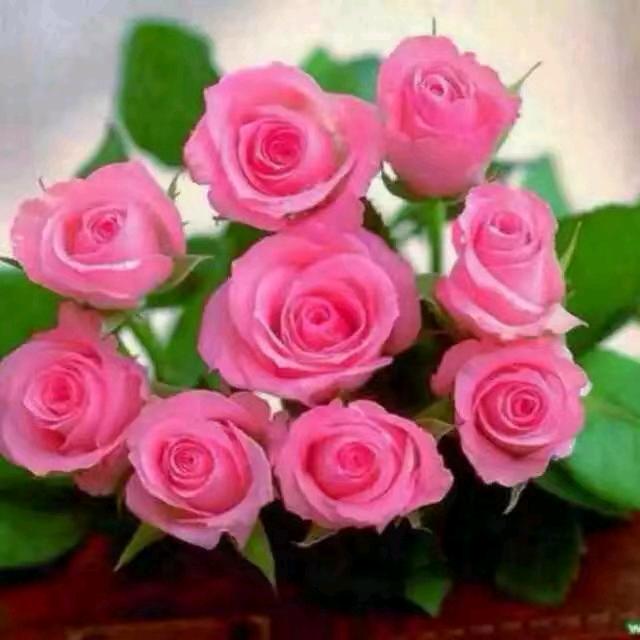 🌹过🌻好🌷每🌺一💐天🌸