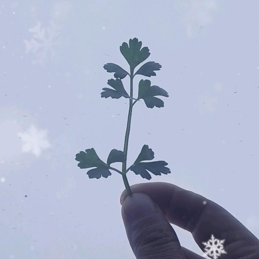 弄潮σ･ω･)σYO♪