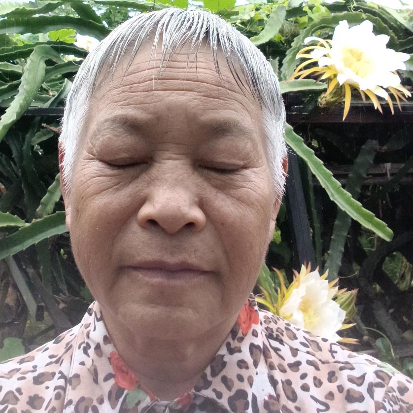 我的名字刘明芬↓一号何金兰l376q94