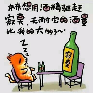 ꧔ꦿ℘遇见᭄꧔࿐