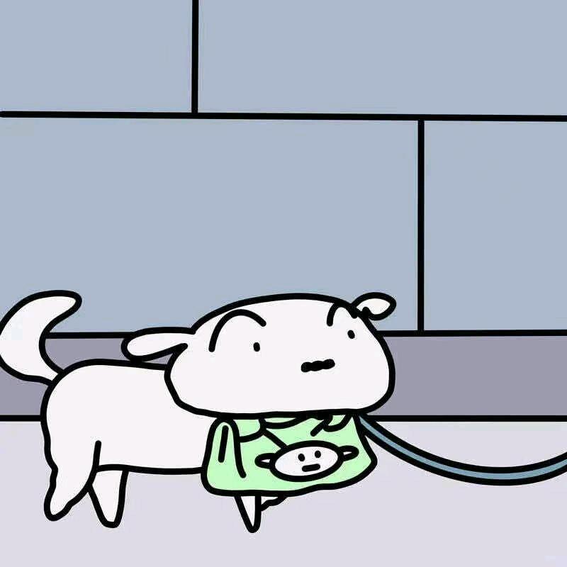 鸡毛狮王的小弟