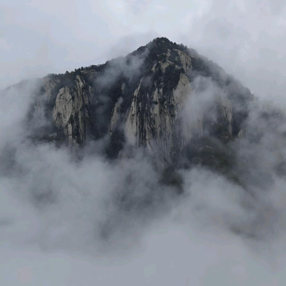 小皮的饲养员