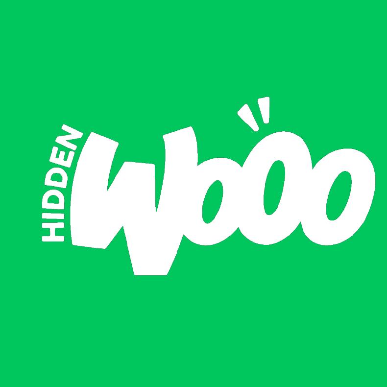 HIDDENWOOO黑灯屋潮玩店